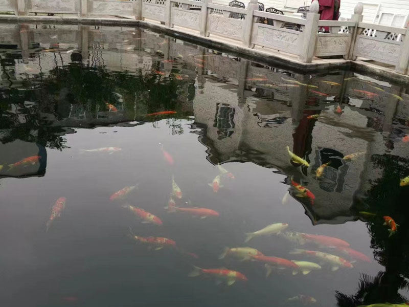 上海刑事案件律師來講講房地產(chǎn)貸款詐騙罪是否影響借款合同的效力