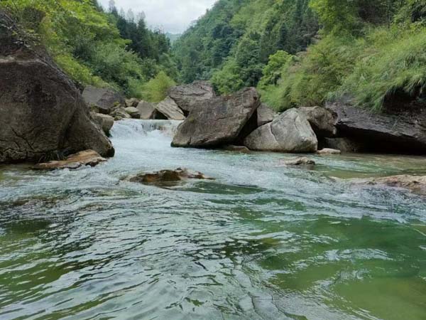上海刑事訴訟律師來講講少捕慎訴刑事政策案件適用范圍