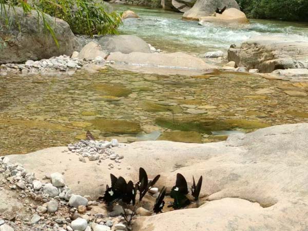 開了一個賭博游戲室是開設(shè)賭場罪嗎？上海刑事律師來回答