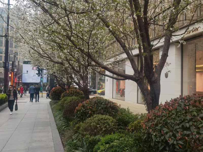 黃浦區(qū)刑事律師解析：徇私舞弊不移交刑事案件罪的罪名起源來自哪里？