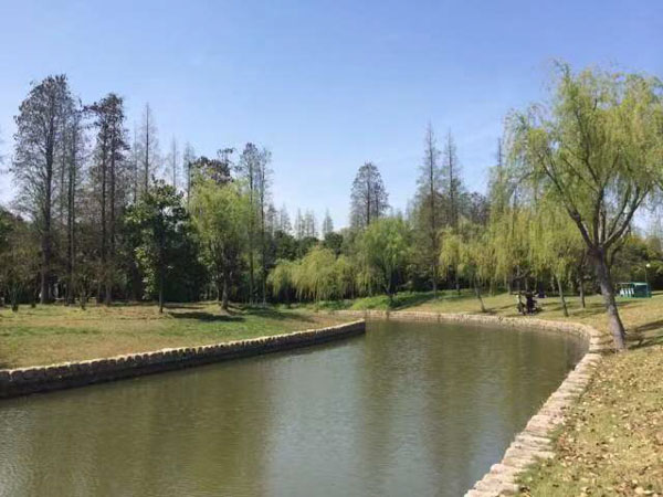 徐匯區(qū)刑事律師解答什么是組織越獄罪？構(gòu)成組織越獄罪的要件有哪些？