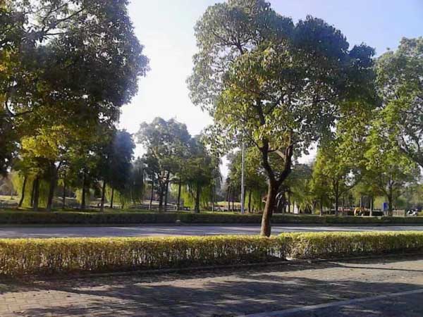 對(duì)于一些違法犯罪未遂犯，應(yīng)該怎樣進(jìn)行處罰呢？聽(tīng)聽(tīng)青浦區(qū)刑事律師的說(shuō)法