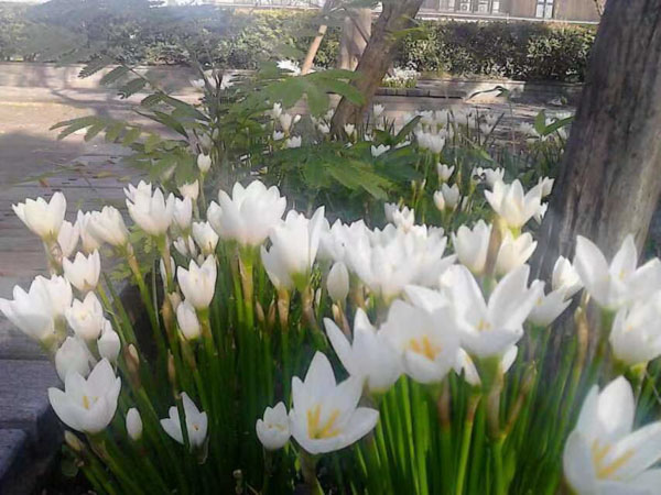 寶山刑事律師來(lái)講講因形跡可疑被盤(pán)查供述毒品事實(shí)是否成立自首