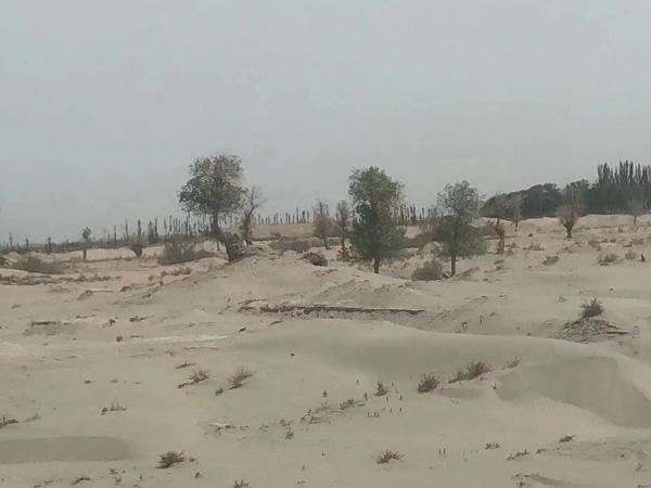 上海市的刑事律師來(lái)講講拒不執(zhí)行轉(zhuǎn)移隱匿財(cái)產(chǎn)找不到人怎么辦