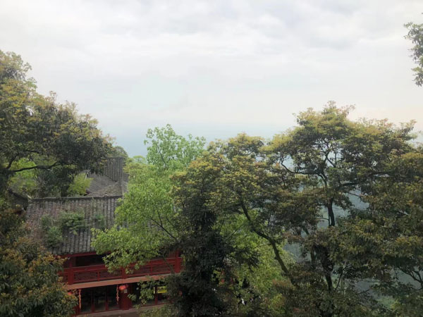 上海打刑事案件的律師來(lái)講講用信息網(wǎng)絡(luò)實(shí)施誹謗罪的司法認(rèn)定