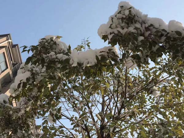 上海本地刑事律師來(lái)講講二審期間因刑法修改及司法解釋出臺(tái)如何適用法律