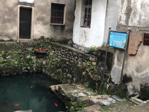 特定目的的犯罪有哪些？上海徐匯刑事律師為您講解