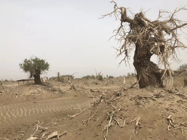 上海專業(yè)刑事律師為您講解偽造公司印章簽訂的承諾書效力問題