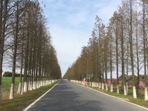 犯罪集團(tuán)應(yīng)當(dāng)具備哪些條件