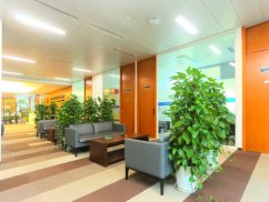 <b>上海刑事案件律師視角：惡意欠薪罪立案程序全解析</b>